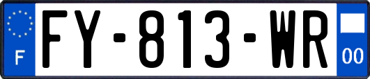 FY-813-WR