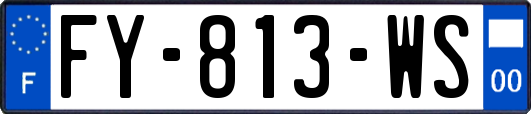 FY-813-WS
