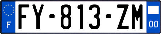 FY-813-ZM