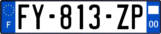 FY-813-ZP