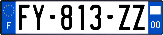 FY-813-ZZ