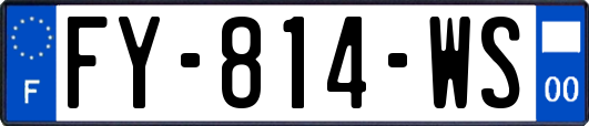 FY-814-WS
