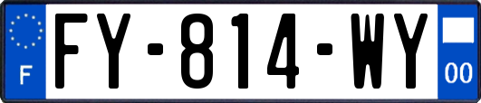 FY-814-WY