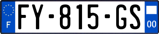 FY-815-GS