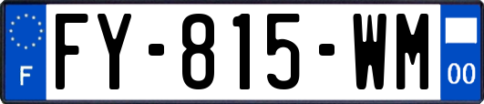 FY-815-WM