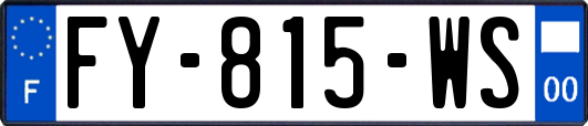 FY-815-WS