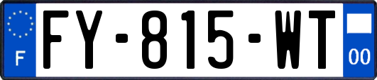 FY-815-WT