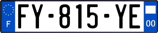FY-815-YE