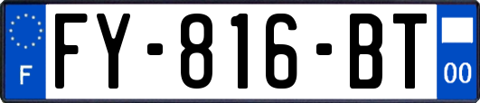 FY-816-BT