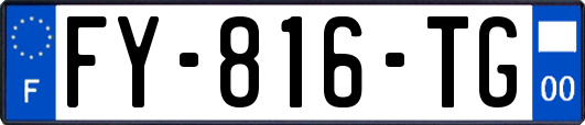 FY-816-TG