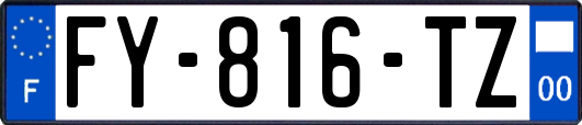 FY-816-TZ