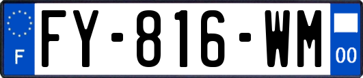FY-816-WM