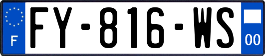 FY-816-WS
