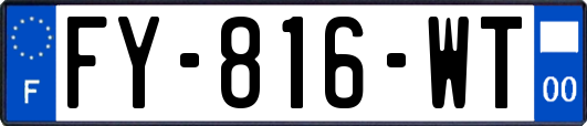 FY-816-WT