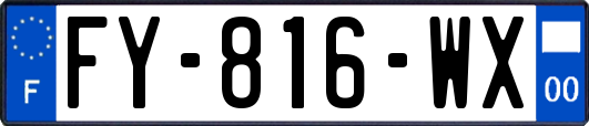 FY-816-WX