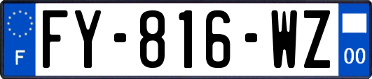 FY-816-WZ