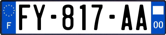 FY-817-AA