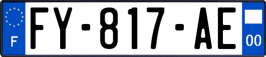 FY-817-AE