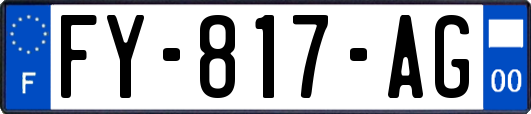 FY-817-AG