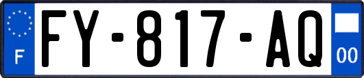 FY-817-AQ