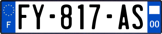 FY-817-AS