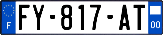 FY-817-AT