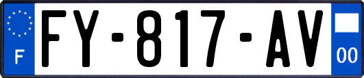 FY-817-AV