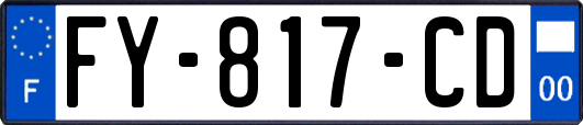 FY-817-CD