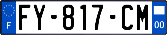 FY-817-CM