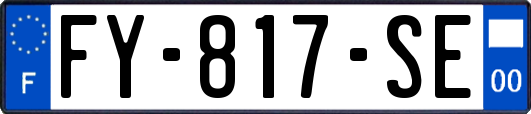 FY-817-SE