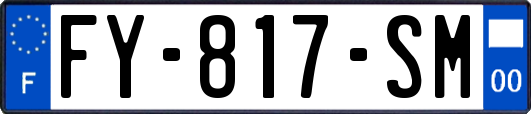 FY-817-SM