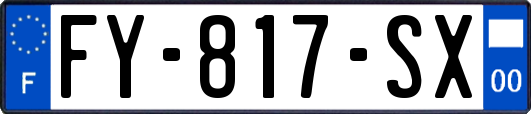 FY-817-SX