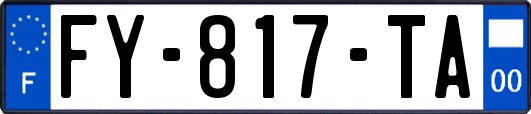 FY-817-TA