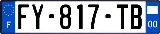 FY-817-TB