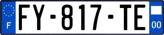 FY-817-TE