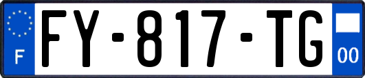 FY-817-TG