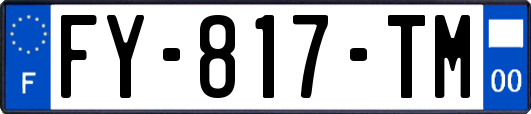 FY-817-TM