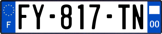 FY-817-TN