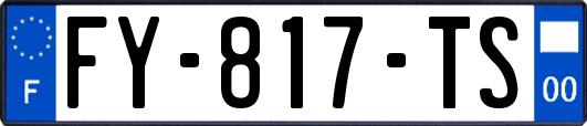 FY-817-TS