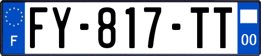 FY-817-TT