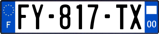 FY-817-TX