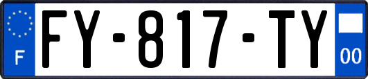 FY-817-TY