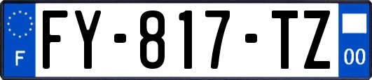 FY-817-TZ