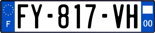 FY-817-VH