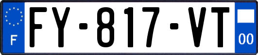 FY-817-VT