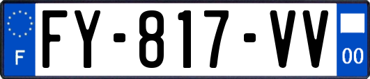 FY-817-VV