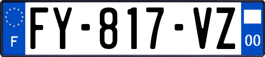 FY-817-VZ