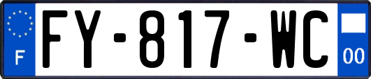FY-817-WC