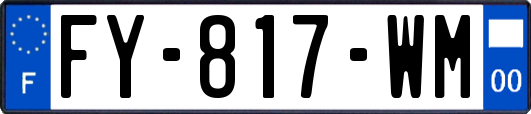 FY-817-WM