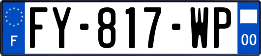 FY-817-WP
